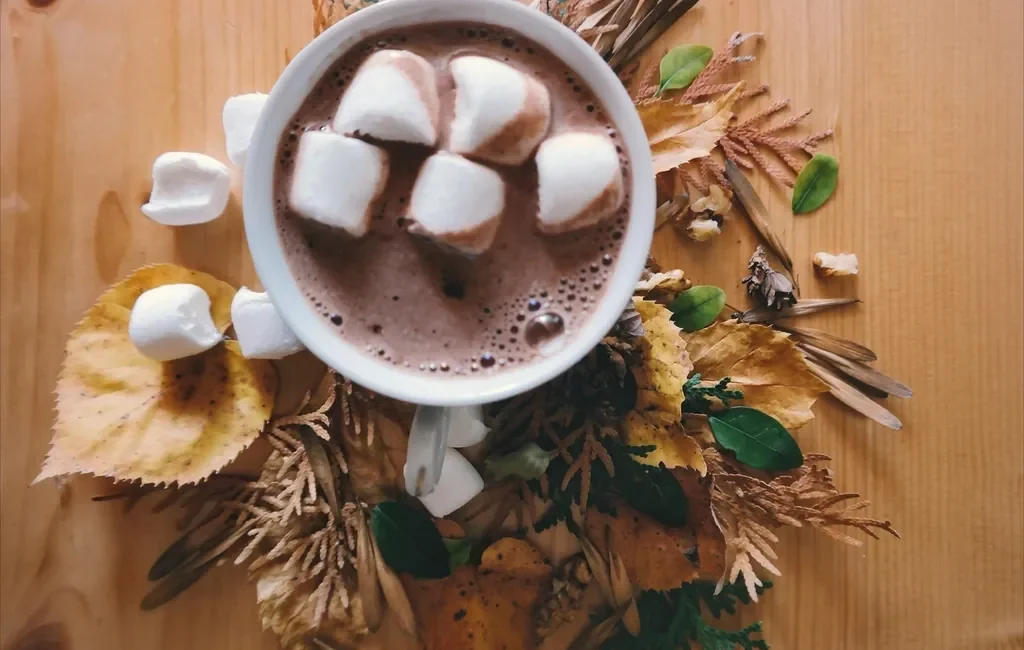 Hot chocolate with marshmallows